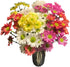 20 Stems Fresh Cut Random Mixed Color Daisy Flowers Long Blooming Period Hydroponic Flower Arrangement Suitable