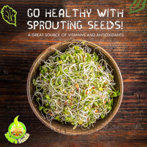 1 lb Todd's Non-GMO Protein Bean Sprouting Seed Mix