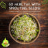 1 lb Todd's Non-GMO Protein Bean Sprouting Seed Mix