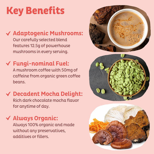 KOS Mushroom Coffee - USDA Certified Organic - Dark Chocolate Mocha Flavor - Mushroom Coffee Latte Powder with Reishi