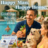 100% 11-Herb Dr.Lus Happy Tea for Guy | Natural Energy Tea for Men | Supports Prostate, Vitality & Fertility | Blend