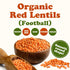 6 Food to Live Organic Red Lentils (Football), Pounds Whole Decorticated Red Lentils, Non-GMO, Vegan, Kosher, Bulk
