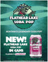 (24 Pack) Flathead Lake Soda Pop (Huckleberry Cans)