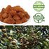 100% Packed Longan-1 Natural Dried Longan Fruit Fruit Meat,Thailand sun dried longan,/ in USA (Dried Pound)