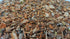 Cramp Bark - 100% Viburnum Opulus Bark, Cut & Dried, Net Weight: 1.5oz/42.5g