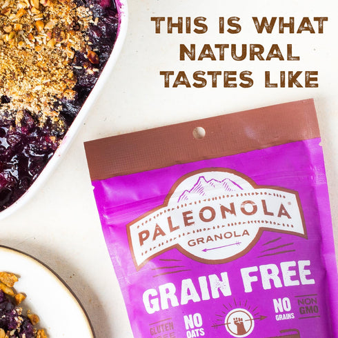10 Oz (Pack 1) Paleonola Chocolate Fix Grain Free Granola, Resealable Bag of - Grainless Paleo Granola Blended w/Dried