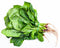 RawJoy Fresh Spinach Bunch by Farms