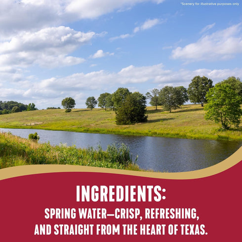 Ozarka 16.9 Oz (24-Pack) Texas Spring Water Bottles - Still Bottled Water Enhanced with Naturally Occurring Minerals