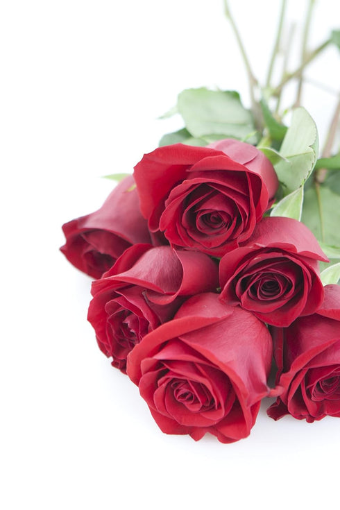 Stemmed 6 KaBloom - Long Red Roses Direct Fresh- Fresh Flowers for Birthday, Valentine's & Mother's Day
