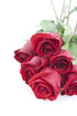 Stemmed 6 KaBloom - Long Red Roses Direct Fresh- Fresh Flowers for Birthday, Valentine's & Mother's Day
