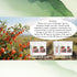 Monbrizz (60count) kidney tea formula Ginseng Six treasure tea te divina, maca root, Goji berries, turmeric kidney