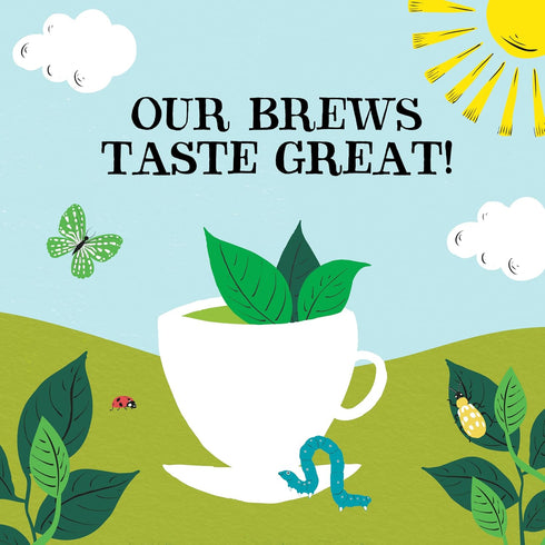 Clipper 80 (Pack 3, 240 Pure Green Teabags of Total Teabags)