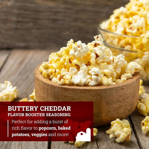 1LB (Pack 1) Hoosier Hill Farm Buttery Cheddar Seasoning, Flavor Boosters