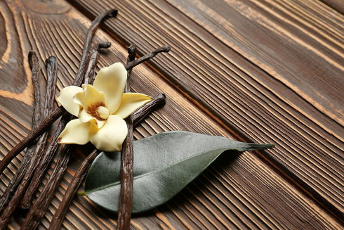 (10 Pack) Ecuadorian Vanilla Beans Whole Grade A Vanilla Pods for Homemade Vanilla Extract, Baking, Ice Cream