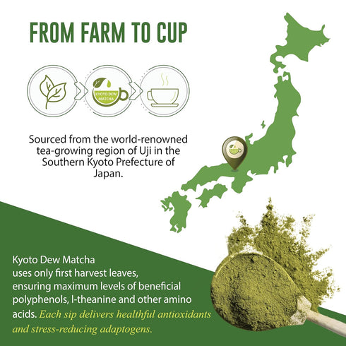 Kyoto Dew Matcha, Organic Premium Ceremonial Grade Japanese Matcha Green Tea Powder, 30g (1oz) Tin