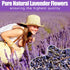 (8 oz) Dried Culinary Lavender Flowers - Food Grade Lavender Buds for Tea, Baking, Potpourri, Home Fragrance & Sachets