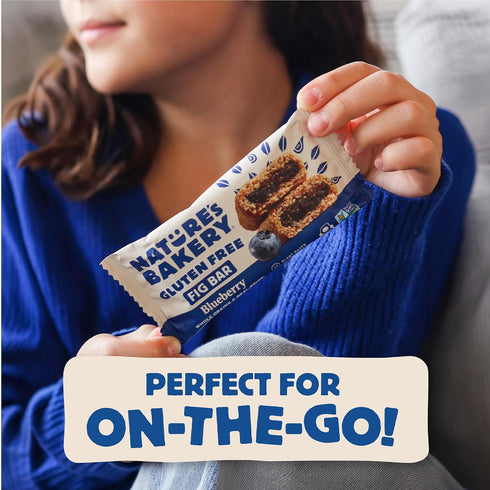 6 6 packs (36 packs) Natures Bakery Gluten Free Fig Bars, Blueberry, Real Fruit, Vegan, Non-GMO, Snack bar, boxes