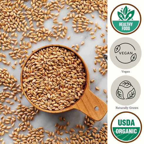 (4.8lb) Be Still Farms Organic Hard Red Wheat Berries - Healthy Diet Whole Grains Bulk - Ideal for Soups, Salads
