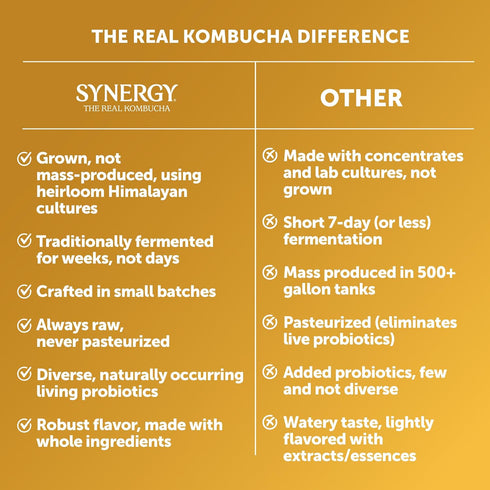 16 oz Immune SYNERGY The Real Kombucha - Golden Pineapple - fl Bottle - Raw Probiotic Drink for Gut Health and Support