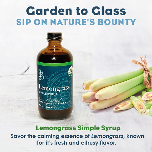 8 oz, Bluestem Botanicals Organic Lemongrass Simple Syrup, Cocktail and Mocktail Mixer for Drinks, Non-Alcoholic