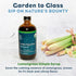 8 oz, Bluestem Botanicals Organic Lemongrass Simple Syrup, Cocktail and Mocktail Mixer for Drinks, Non-Alcoholic