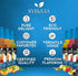 Pack 25.4 Oz (6 Pack) Syruvia Sugar Free Tea Syrup Variety Sweet Tea & Fruit Flavored Water Enhancer Drink Mix for Iced