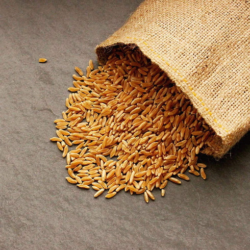 1 Lb Handy Pantry Organic Kamut Seeds Ancient Khorasan Grain for Sprouting, Flour, Baking, Beer, Storage