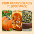 1.25 lb Packed Oh! Nuts Pumpkin Seeds - Roasted Salted - - No Shell Pepitas - in New York Zip-Seal Bag for Exceptional