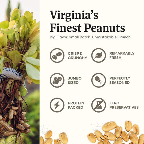 25 oz (1 Pack) 3 7g Belmont Peanuts Gourmet Sea-Salted Virginia Peanuts, Only Simple Ingredients, No Preservatives