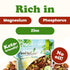 8 Food to Live Organic Four Nuts Mix, Ounces A Blend of Dry Roasted Pistachios, Almonds, Pecans, Cashews, and Almonds
