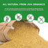 #1 2 LB 100% Organic Bulgur Wheat Fine - Non-GMO, Grown in USA, Natural Wheat Berries, Resealable Bag by Jiva Organics