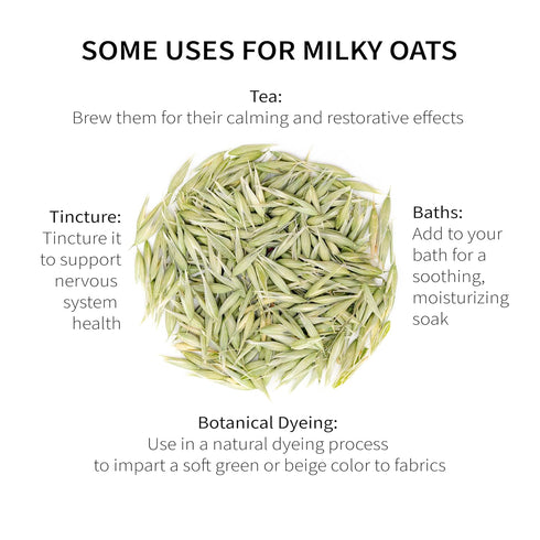 5.6 oz 79 Milky Oats, Organically Grown in Wisconsin | | Servings | Sacred Blossom Farm | Herbal Tea & Medicinal Herbs