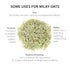 5.6 oz 79 Milky Oats, Organically Grown in Wisconsin | | Servings | Sacred Blossom Farm | Herbal Tea & Medicinal Herbs