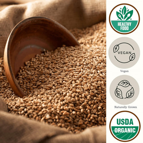 5.8 lb Be Still Farms Spelt Farro Grain Organic - Whole Wheat Berries Bulk - Ancient Grains Ideal for Flour, Bread