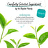 20 Count (Pack 6), 120 Bigelow Tea Oolong Tea, Caffeinated Tea with Fresh, Smooth Taste, Box of Total Tea Bags