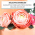 5 Count Global Sugar Art Green Eucalyptus Branch Sugar Cake Flowers, by Chef Alan Tetreault