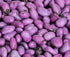 1 lb Purple Yogurt Covered Raisins by It's Delish, Bulk | Kosher Dairy-Free Yogurt Covered Fruit for Vegan Snacking |