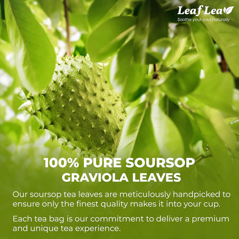 LeafLea Premium Soursop Leaves Tea Bags, Pure & Natural Soursop Tea, Graviola Leaves Tea, Hoja Guanabana Tea, 40 Herbal Tea Bags, Natural Digestion Support, Nutrient-Rich, No Sugar, No Caffeine