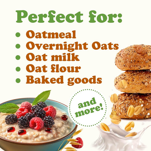 4 1 Food to Live Organic Instant Rolled Oats, Pounds - Ready in Minute Non-GMO Whole Grain Oatmeal. Good Source