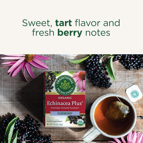 Immune 96 (6 Pack) Traditional Medicinals Tea, Organic Echinacea Plus Elderberry, Boosts the System, Tea Bags