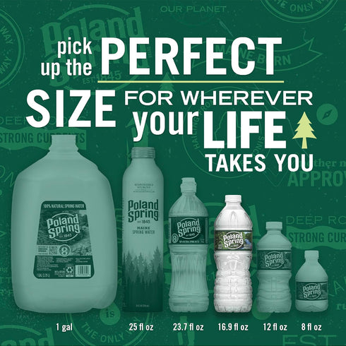24 Pack 16.9 Oz Poland Spring Maine Spring Water Bottles, Crisp, Still Bottled Water with Naturally Balanced Occurring