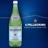 33.8 oz. (Pack 12) S.Pellegrino Sparkling Natural Mineral Water, fl Plastic Bottles