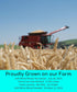 3 LBS Palouse Brand Certified Glyphosate Residue Free Soft White Wheat Berries | | Family Farmed in Washington State |