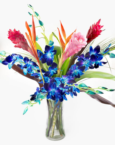 Generic Fresh Orchids and Tropical Flower Bouquet, Perfect for Birthdays, Easter, Mother's Day,