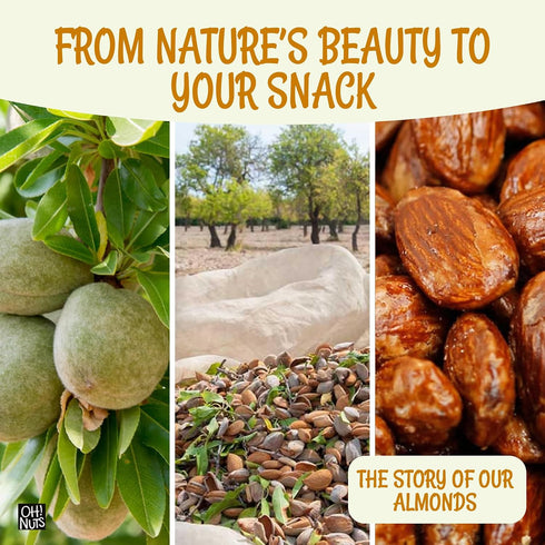2 lb Packed Oh! Nuts Honey Glazed Roasted Almonds - - High-Protein Whole Almonds - in New York Zip-Seal Bag