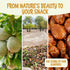 2 lb Packed Oh! Nuts Honey Glazed Roasted Almonds - - High-Protein Whole Almonds - in New York Zip-Seal Bag