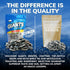 8g 12 oz GIANTS Original Sunflower Seeds - Sunflower Seeds to Eat, Sunflower Seeds Bulk, Lightly Salted for Eating