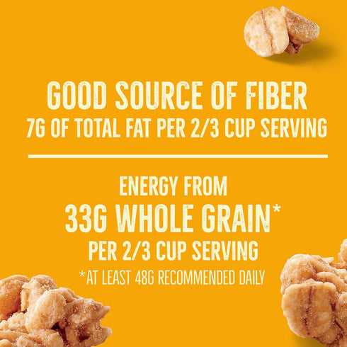 11 oz Nature Valley Protein Granola, Oats and Honey Granola, Resealable Snack Pouch