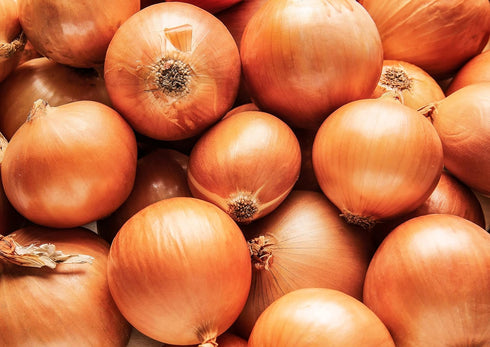 1.5 Food to Live Onion Powder, Pounds - Finely Ground Dried Onions, Vegan, Rich Onion Flavor, High in Vitamin C