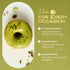 7.05 oz (200g) 20% CORINTO Pistachio Cream Spread with Milk Chocolate, Smooth Greek Pistachio Butter, Palm Oil Free